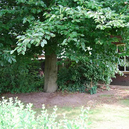 La Ventilla Berlicum